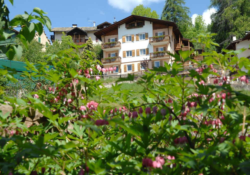 Ristorante Hotel Alpino