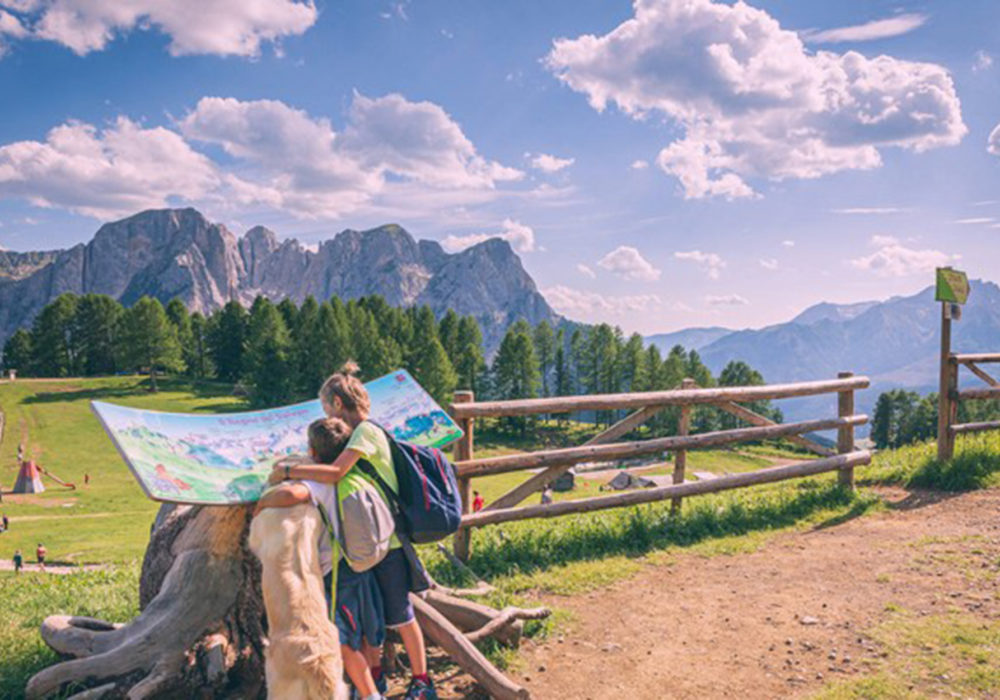 Il sentiero dimenticato