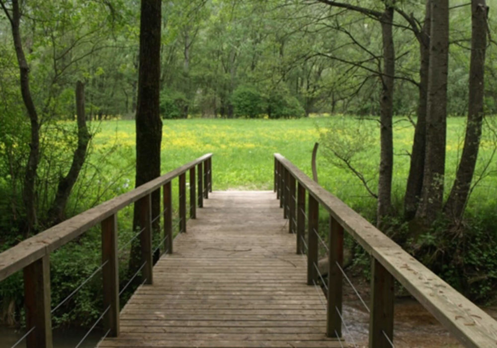 Biotopo La Rocchetta