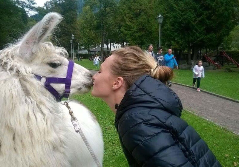 myTrentina_chaletneldoch_lama