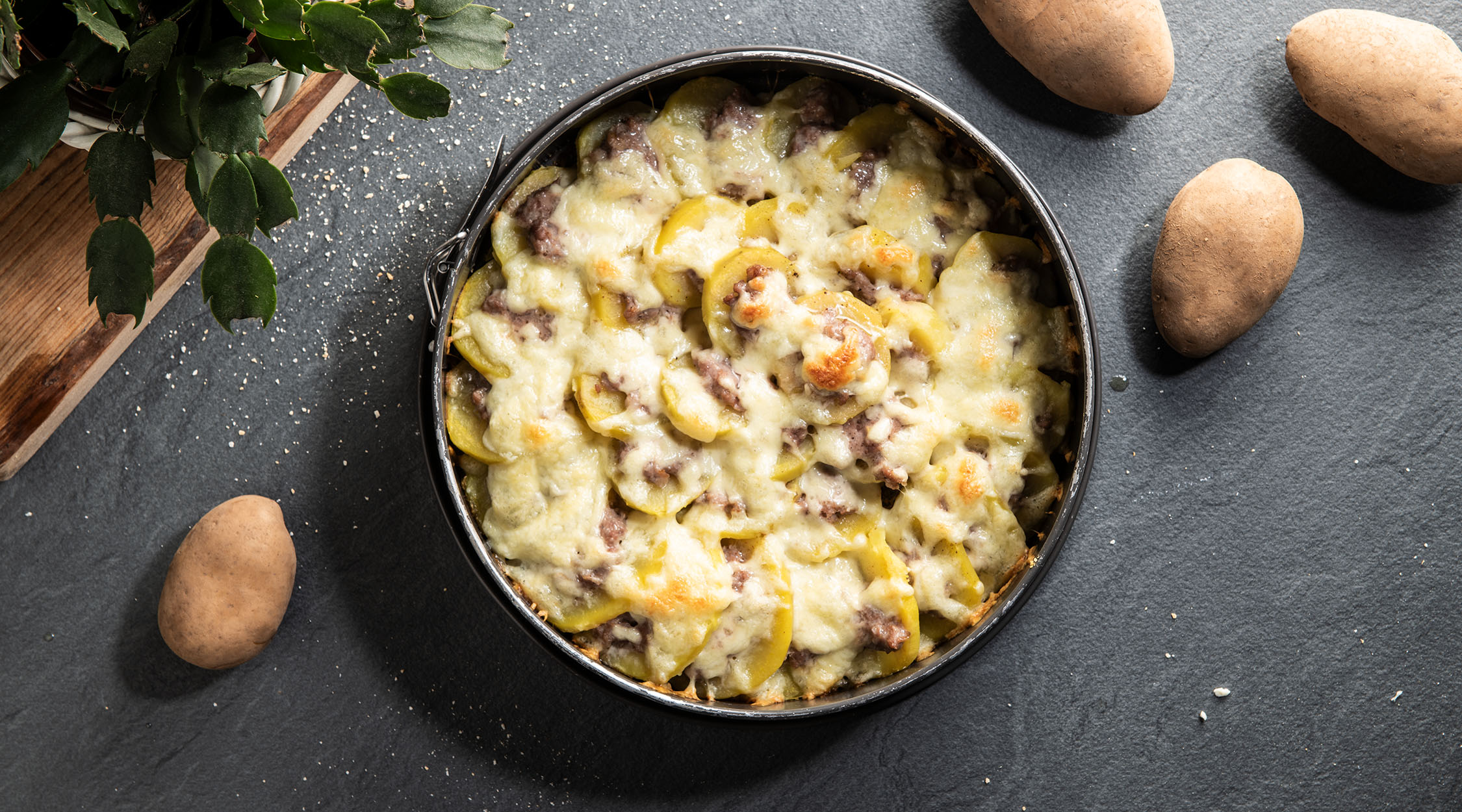 LaTrentina_salvacena